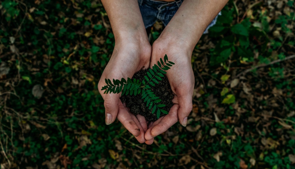 Tendências em crescimento: ESG e o investimento sustentável